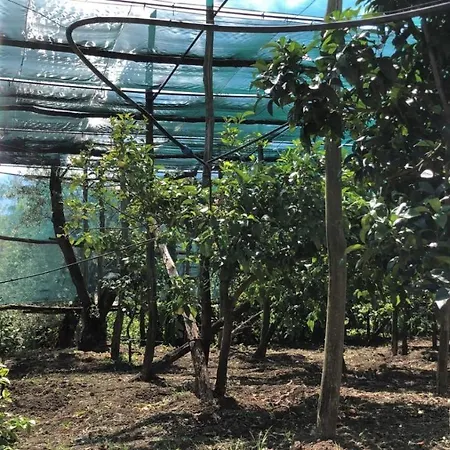 住宿加早餐酒店 和平母亲绿洲住宿加早餐旅馆 4*