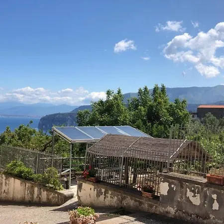 和平母亲绿洲住宿加早餐旅馆 4*