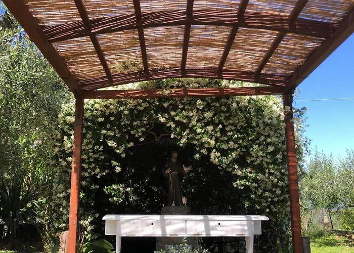 Oasi Madre Della Pace Bed & Breakfast Sorrento