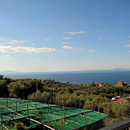 Oasi Madre Della Pace Bed & Breakfast Sorrento