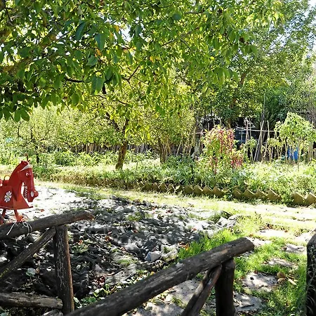 Oasi Madre Della Pace Bed & Breakfast