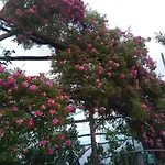 Oasi Madre Della Pace Couette-café 4*