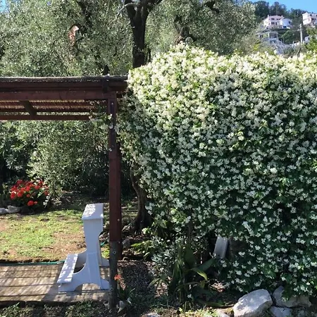 Oda ve Kahvaltı Oasi Madre Della Pace Sorrento
