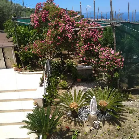 Bed & Breakfast Oasi Madre Della Pace Sorrento