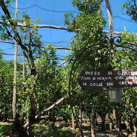 Oasi Madre Della Pace 4* Сорренто