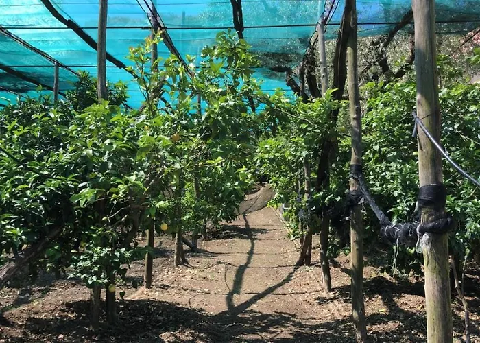 Oasi Madre Della Pace 4* Сорренто