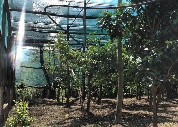 Bed & Breakfast Oasi Madre Della Pace 4*