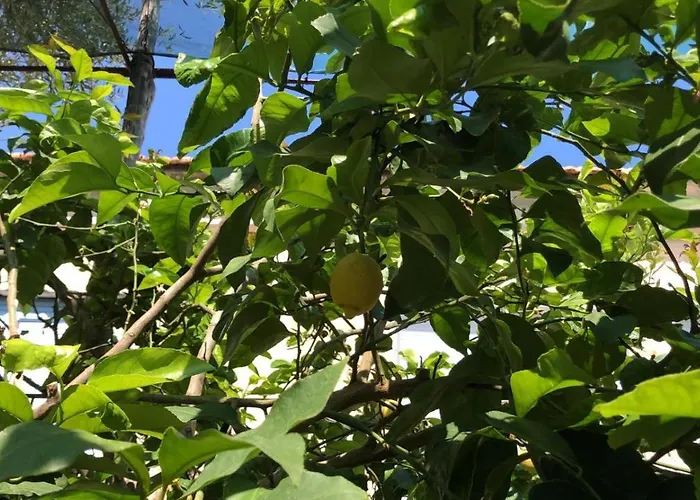 오아시 마드레 델라 페이스 4* 소렌토