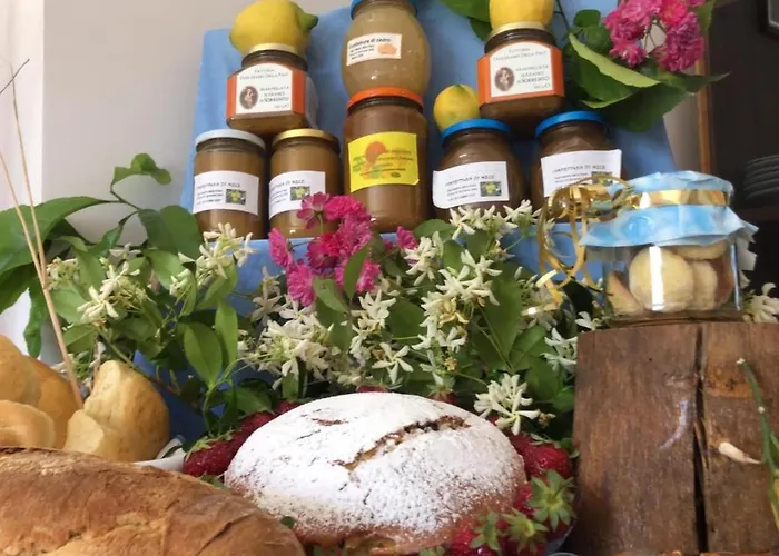 오아시 마드레 델라 페이스 4*