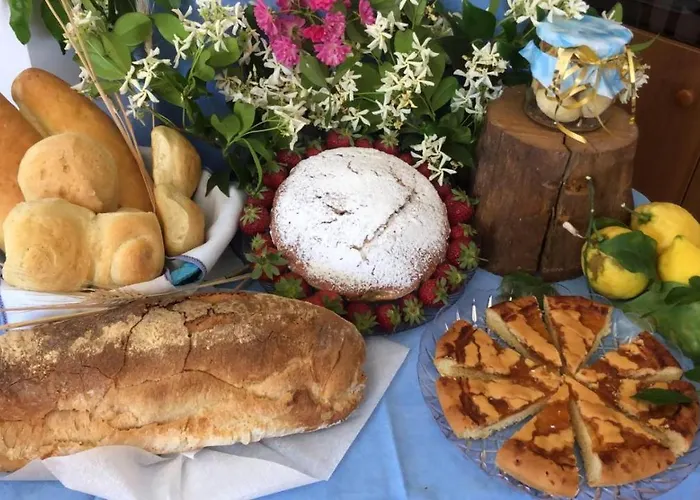 오아시 마드레 델라 페이스