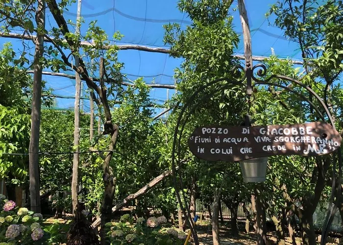 오아시 마드레 델라 페이스 4* 소렌토