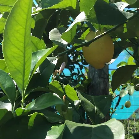 Nocleg ze śniadaniem Oasi Madre Della Pace 4*