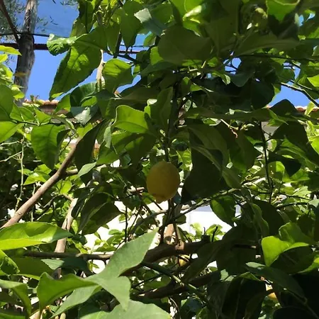 Oasi Madre Della Pace 4* سورينتو