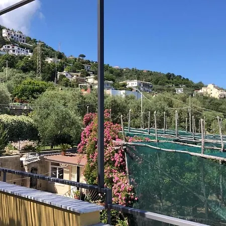 B&B 오아시 마드레 델라 페이스 소렌토