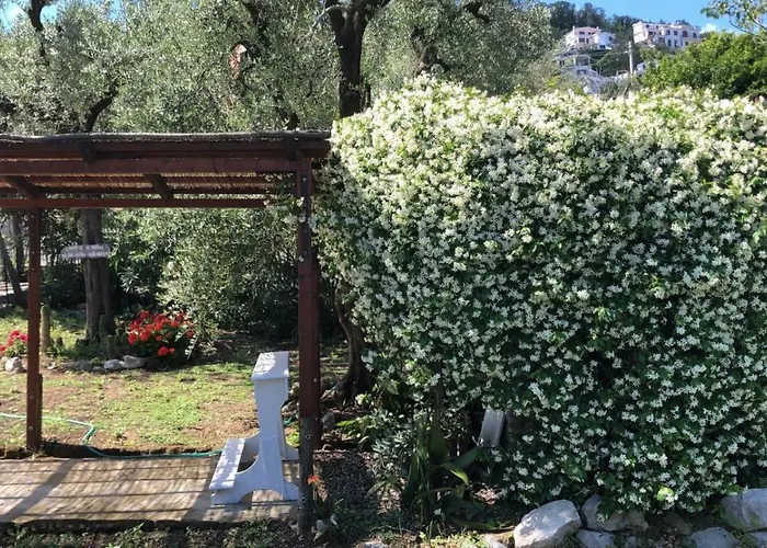 Bed & Breakfast Oasi Madre Della Pace Sorrento
