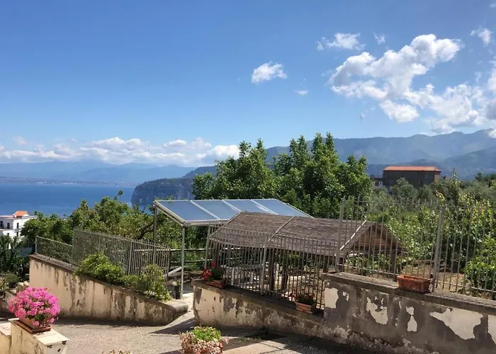 오아시 마드레 델라 페이스 4*